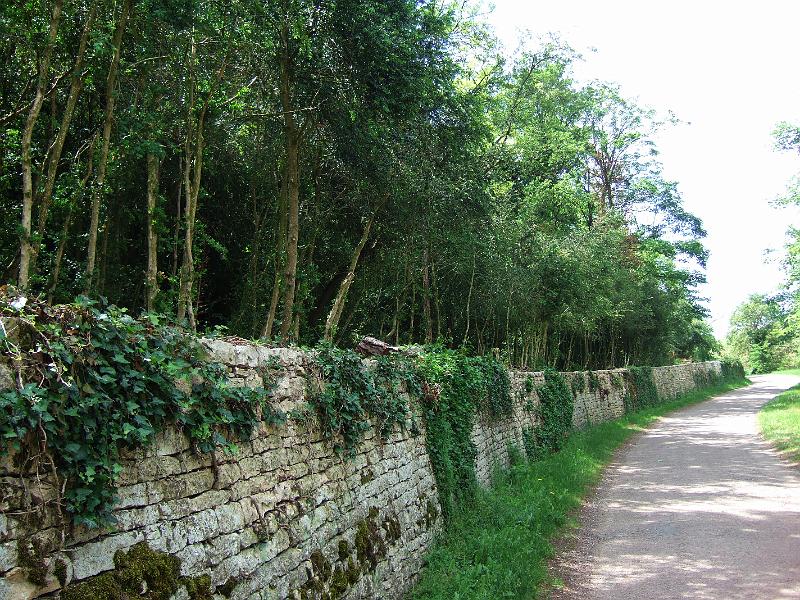 2010-05- (110).JPG